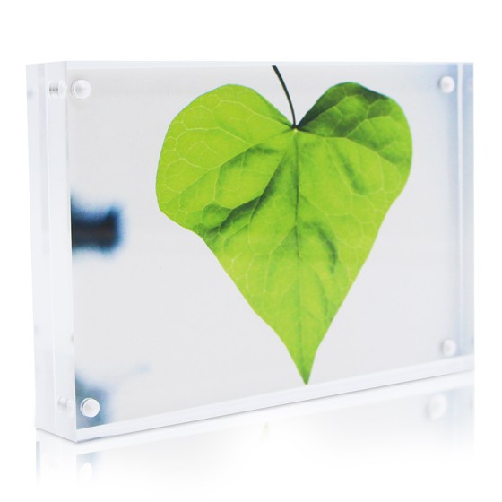 DrDirt  磁石亞加力相架 4R, 4x6"