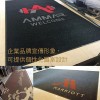 Logo Mat 防水防滑地毯