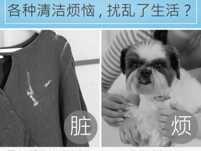 还在被家里的毛发清理所困扰吗？这几个小妙招后悔学晚了