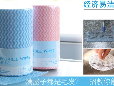 我地做家庭主婦面對最大既困擾係乜野